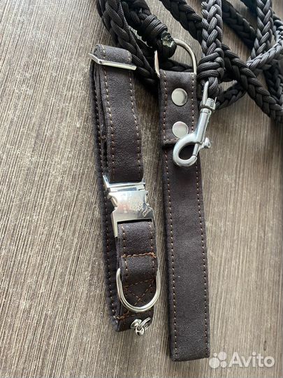 Ошейник и поводок