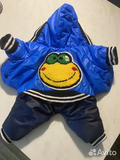 Одежда для собак