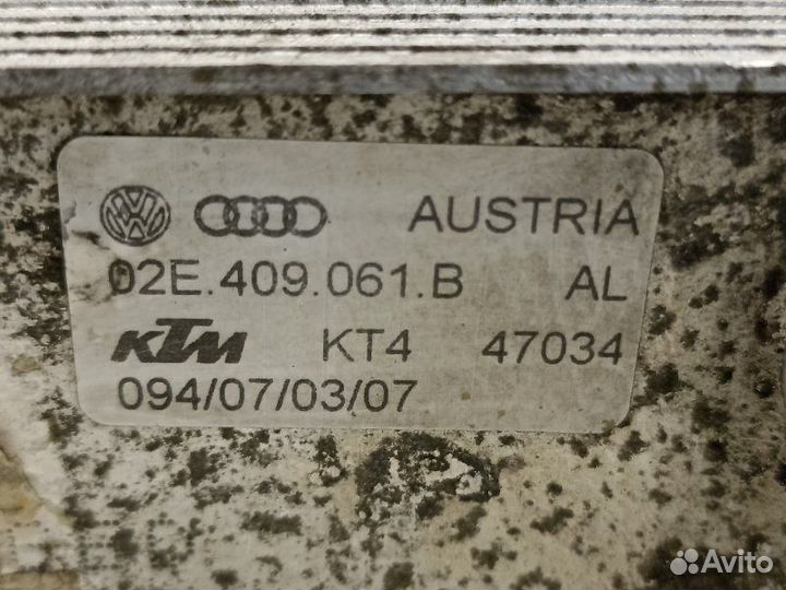 Радиатор масляный Audi A3 1.8 BYT 2007