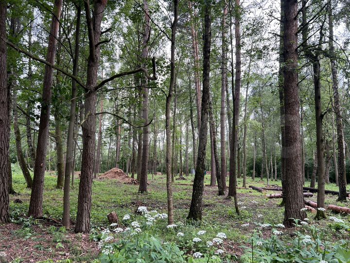 Участок 49,4 сот. (ИЖС)