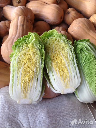 Капуста пекинская для чимчи