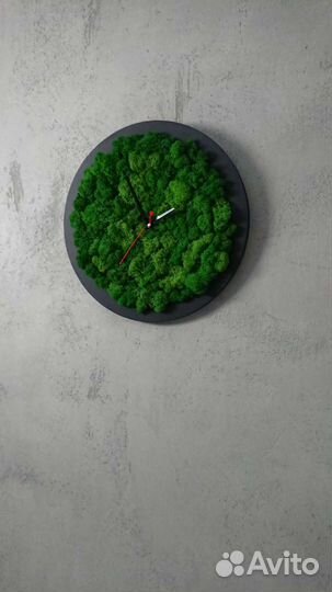 Часы из мха