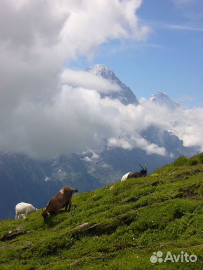 Цифровая мыльница Lumix DMC-LS2 + примеры фото