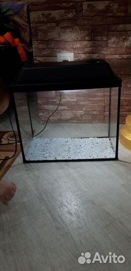 Аквариум