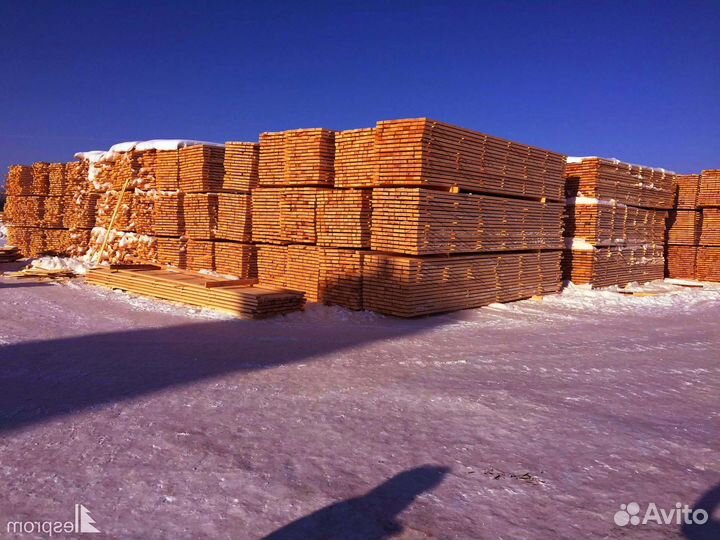 Доска оптом Хвоя 100мм