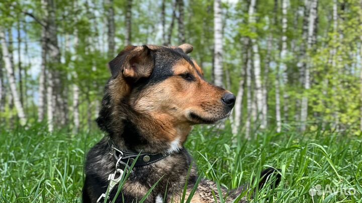 Восхитительная Лия из приюта в поисках семьи