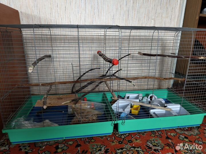 Большая клетка для попугаев (90/40/50)