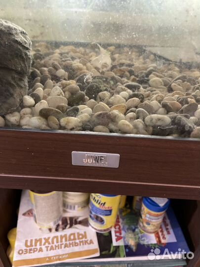 Продаю аквариум Juwel