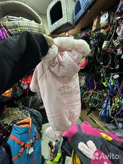 Одежда для собак