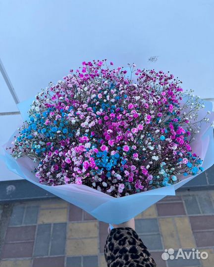 Букет из гипсофилы