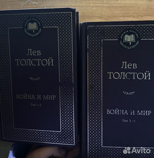 Война и мир 2 тома