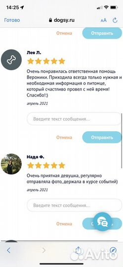 Догситтер, Передержка, выгул