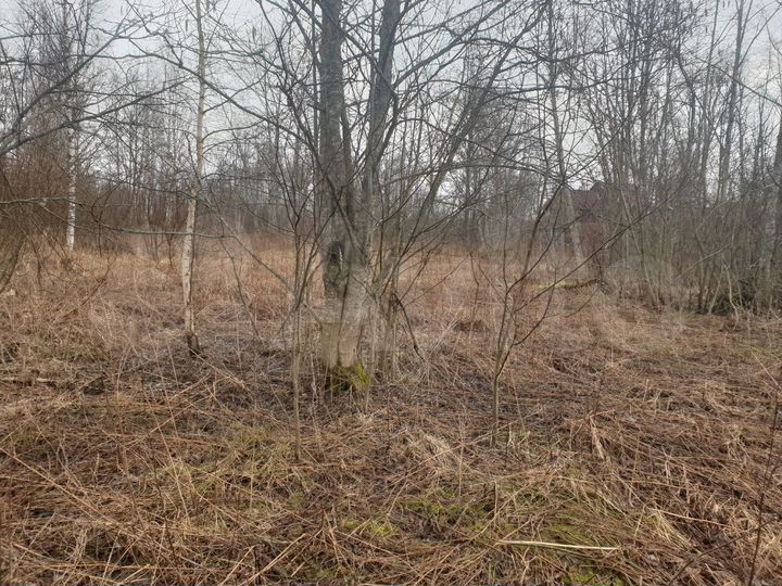 Участок 13 сот. (СНТ, ДНП)