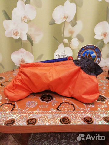 Корм, комбезы, лежанка, лососевое масло для собак