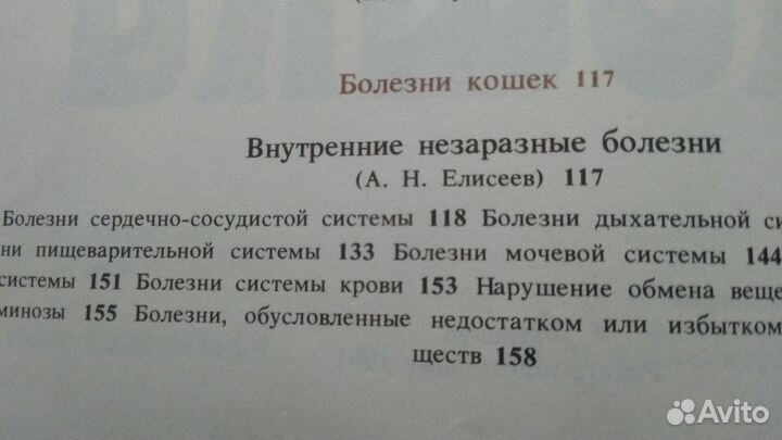 Книга Все о кошках