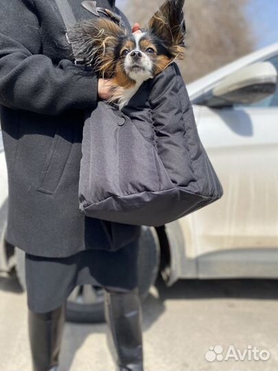 Автосумка- переноска для собак