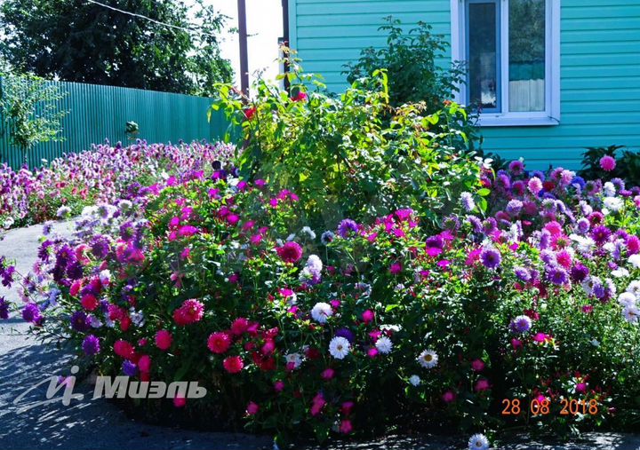 Дом 53,7 м² на участке 10 сот.