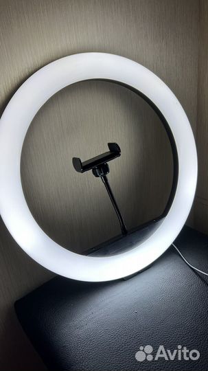 Лапма Кольцевая