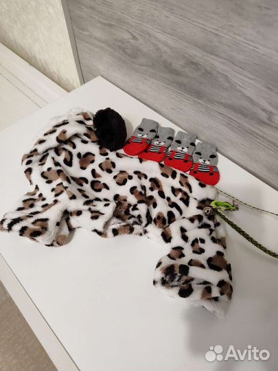 Куртка для собак мелких пород, носки для животных