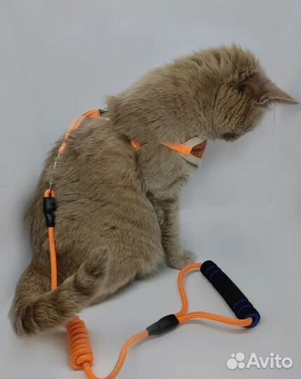Шлейка для кошек и собак мелких пород