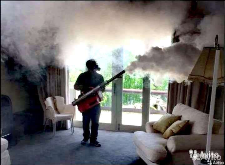 Уничтожение тараканов клопов мышей блох клещей