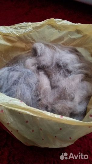 Шерсть собачья