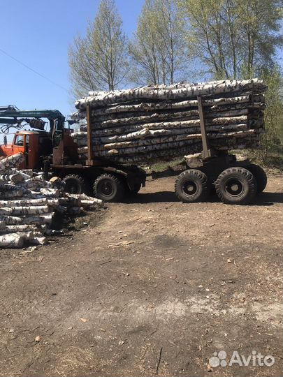 Лес кругляк береза