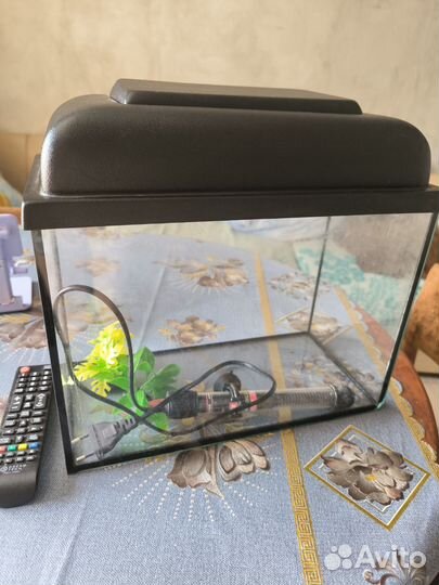 Аквариум 10 литров