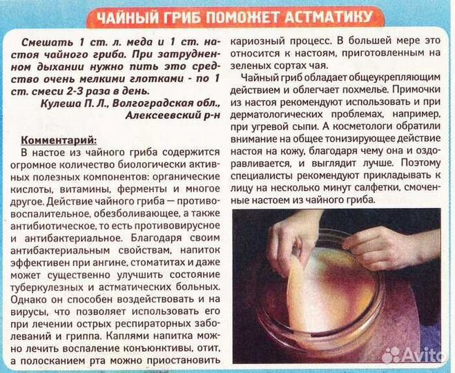 Чайный гриб