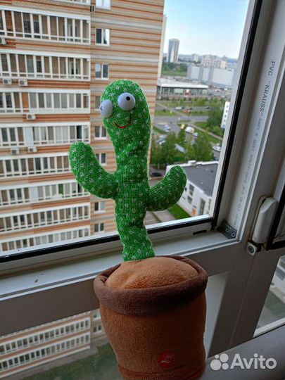 Веселый кактус