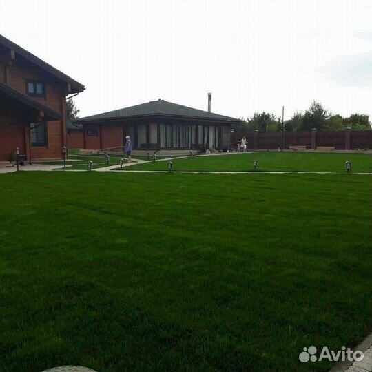 Укладка и продажа газона