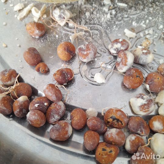 Семена баобаба