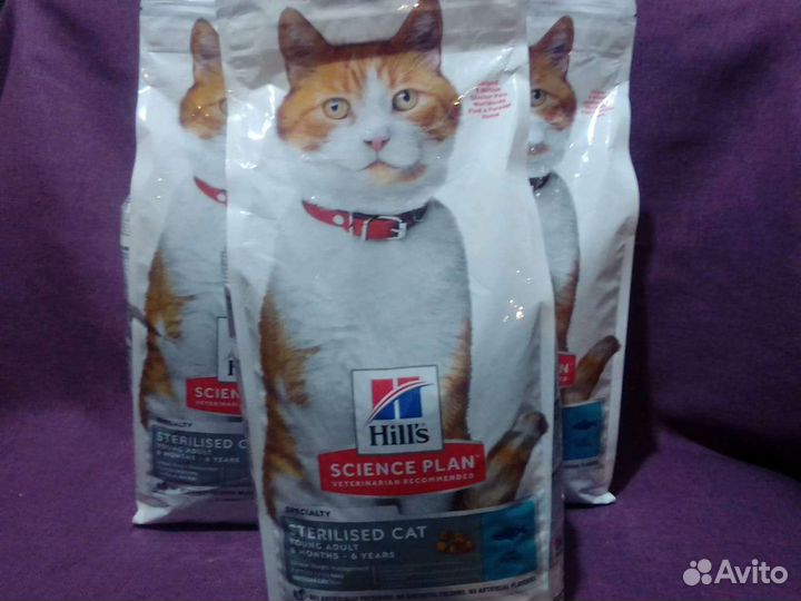 Сухой корм Hills для кошек (3 кг)