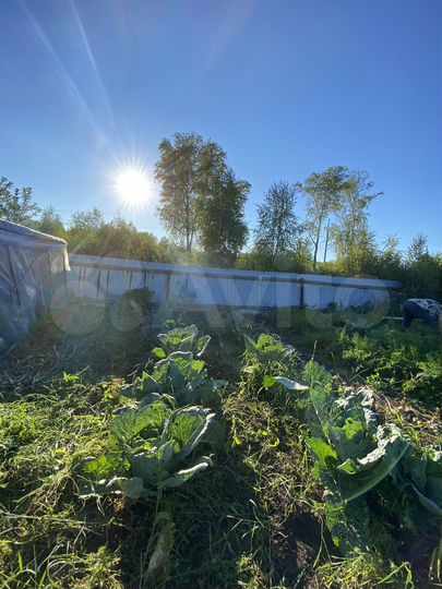 Дача 10 м² на участке 7 сот.