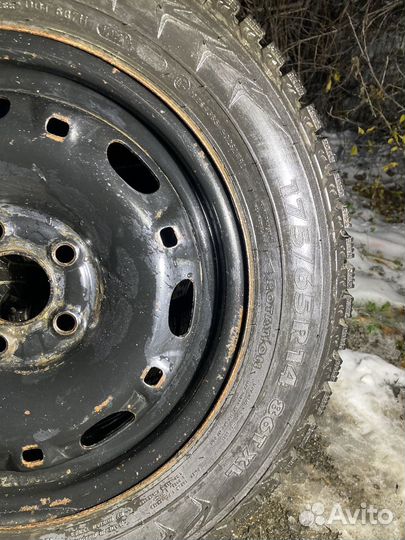 Nokian nordman 5 175 65 r14