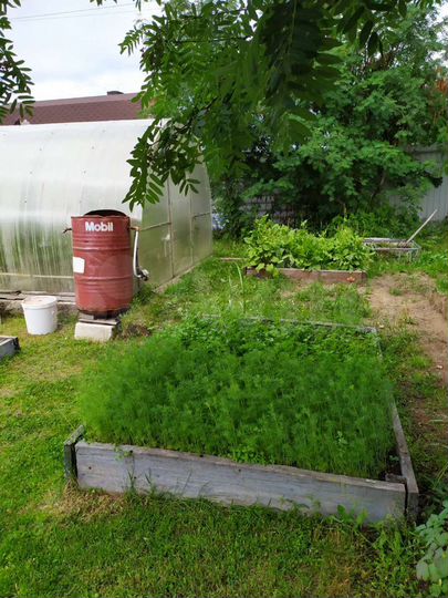 Дача 120 м² на участке 14 сот.