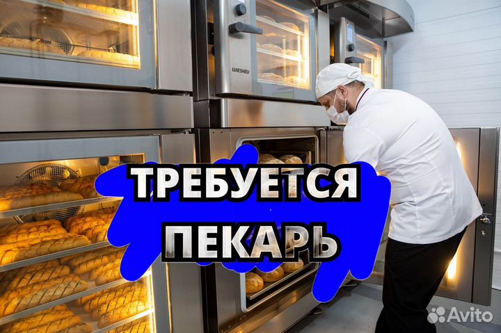 Пекарь с ежедневными выплатами. pd606