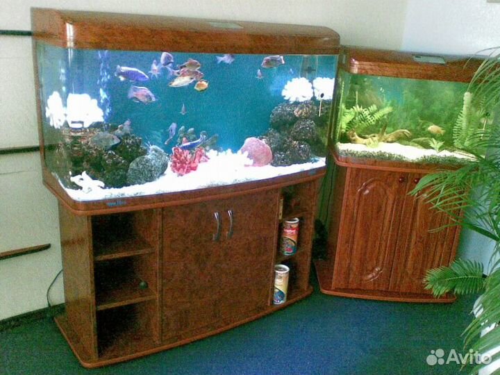 Чистка/обслуживание аквариумов