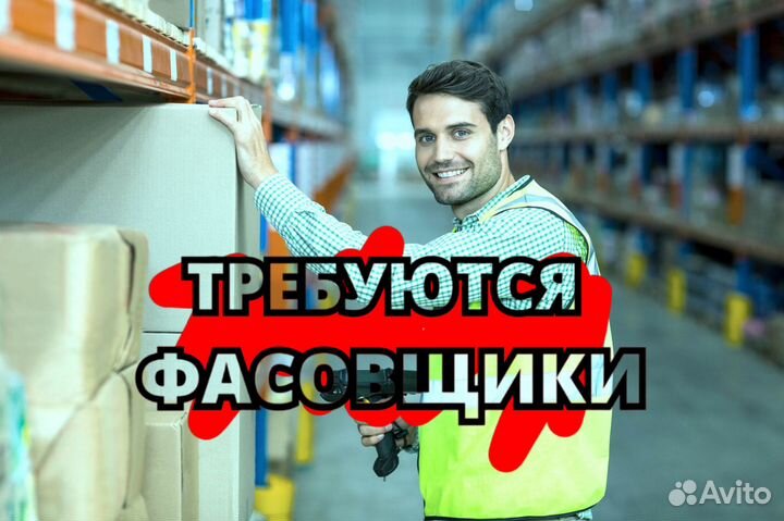 Ртз с ежедневными выплатами. os702