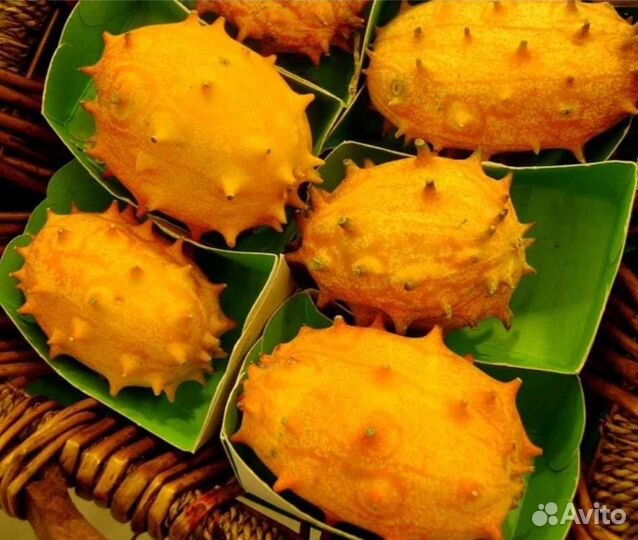 Фруктовые Огурчики семена