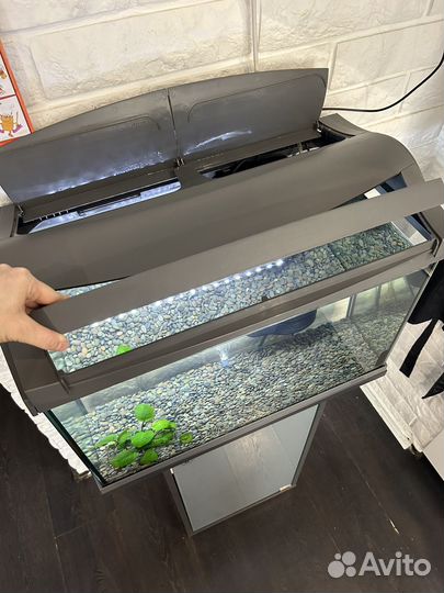 Аквариум Tetra 60 литров