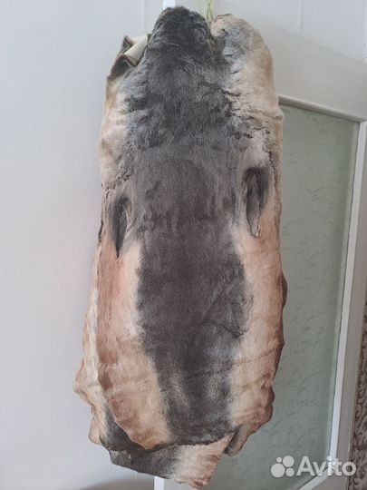 Шкуры морского котика