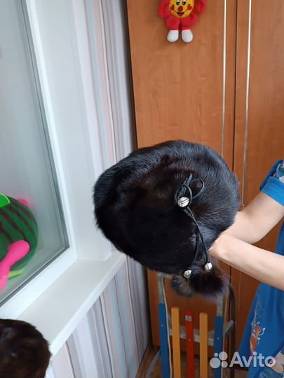 Шапка норковая