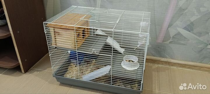 Милашки Дамбо