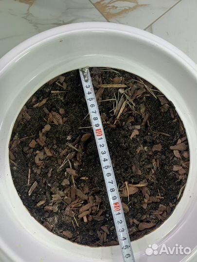 Горшок большой керамический для цветов