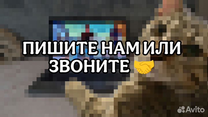 Ноутбуки под Игры или Работу