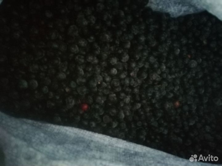 Черника, клюква, брусника