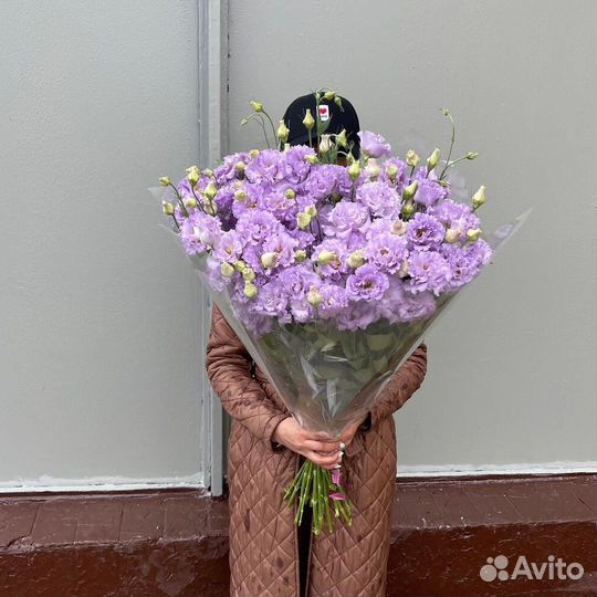 Лизиантус Эустома