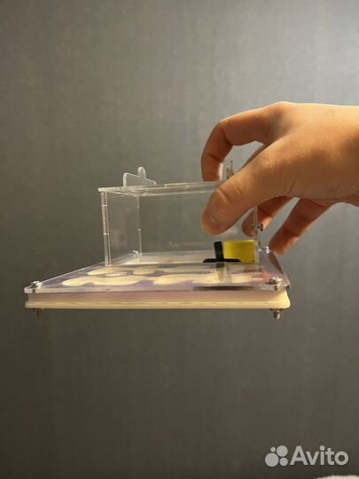 Муравьиная ферма без муравьев