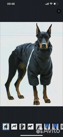 Комбенизон куртка на крупную собаку